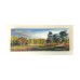 The New Forest 2