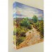 The New Forest 3