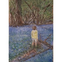 Woodland wonders